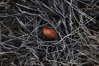 Outback Australia Photos